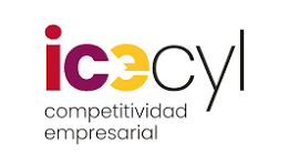 ICECYL - Instituto para la Competitividad Empresarial de Castilla y León